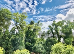 The Loft (D10), Condominium #225055271